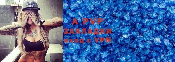 мяу мяу мука Иннополис