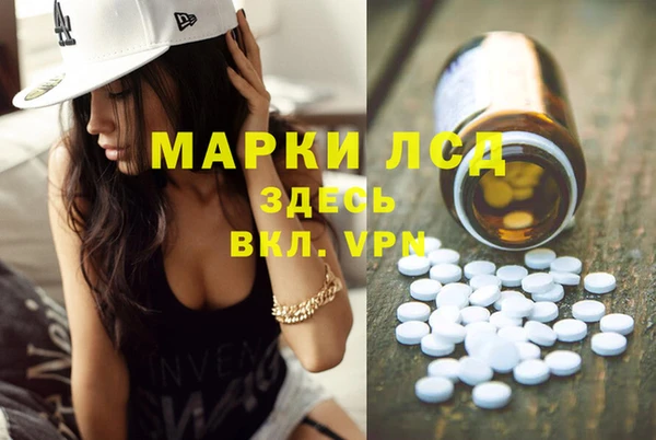 мяу мяу мука Иннополис
