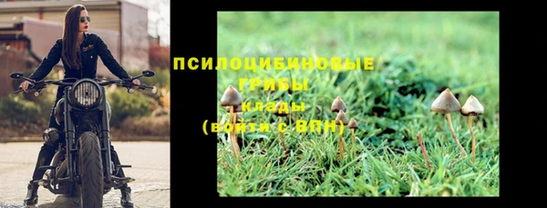 мяу мяу мука Иннополис