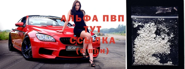 мяу мяу мука Иннополис