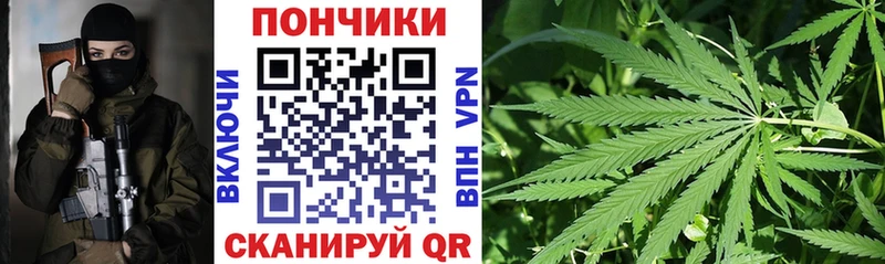 закладки  Каменногорск  Марихуана THC 21% 